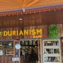 두리안 | 치앙마이 올드타운 두리안카페 Durianism 두리안 맛 솔직후기!