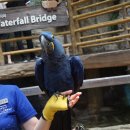 우치흑염소 | 8월 수도권 동물원·수족관 기행 2 (아쿠아플라넷 일산 2)