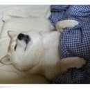 공단커피 - 부평구 부평대로 283 | 공단커피