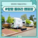 함평군 돌머리캠핑장 이미지