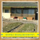 남지중앙로 이미지