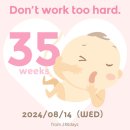 지에스25 홍천 이미지