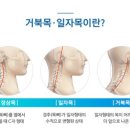 성신사우나 이미지