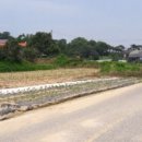 송해면-5 이미지