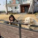 금당농장 네이버블로그