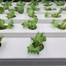 유비엔(주) 이미지