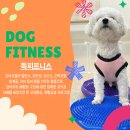 902댕스쿨