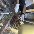 풍미가든 이미지