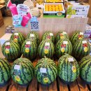 백천지구3 이미지