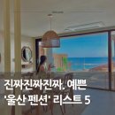 울산별펜션 | 울산 장미축제 숙소! 료칸부터 오션뷰까지 감성 풀빌라 펜션 베스트 5