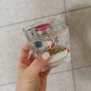 반야어린이집 이미지