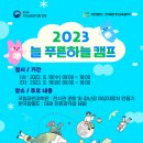 늘푸른캠프
