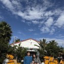 왕자농장 | 제주도 어린왕자감귤밭 후기 아이와 가볼만한 곳 추천!