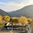 바우정원 이미지