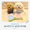 해피 | 강아지 슬로우식기 추천 | 실리콘연구소 실리킹 해피볼 후기