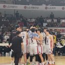 연세대제일체육관 | [직관일기] 20250301 창원실내체육관 안양 정관장 VS 창원 LG