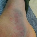 류진농장 이미지