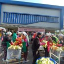 중앙동8 이미지