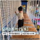 대구 아이와 가볼만한 곳 실내 대형 키즈카페 <달리는토끼>