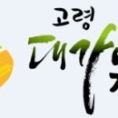 대가야식육점 이미지