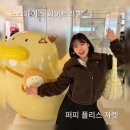 브라운퍼피 | 노스페이스 화이트라벨 플리스 자켓 후리스 추천 : 여성 퍼피 플리스 자켓 - 브라운 구매 후기