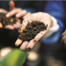 일심농장 이미지