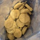 준푸드 | 강아지 동결건조사료 트러스티푸드 비프레시피 패티 내돈내산 급여 후기