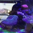 우주카센타 이미지