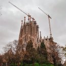 파밀리아 이미지