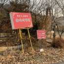 개울가펜션 | 경기도 가평 깔끔한 애견동반 펜션형 글램핑 숲속의 정원 큐브3 만족 후기