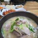 구암동138 | 마산 구암동 진미돼지국밥 남편 최애 국밥집 솔직 후기