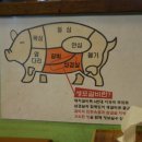 생포탄 이미지