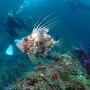 이편한호텔 이미지