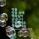 꿍따리 이미지