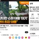 베트남 강타한슈퍼태풍 '야기 "30년만의 최강 태풍" & 버빙카 13호 한국에 오나 이미지