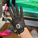 팡팡 골프존 이미지