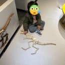 세상을 보는 신기한 과학실험 | [창원 과학체험관] 주말 가족 나들이, 아이들 웃음이 빵빵 터졌던 하루