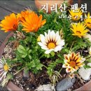 지리산리틀프린스펜션 이미지