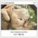 서산보트 | [다시찾은 서산 일랑일랑] 서울가든 이용편! 믿고 가는 곳!!! 내돈 내산 솔직 후기!!