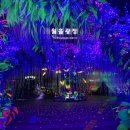 광명동굴 내 이미지