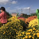 맑은샘농장 이미지