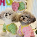 클라라 애견 이미지