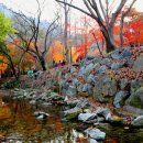 강천산(584m) 산성과 단풍의 만추산행기 ＜121108＞ 이미지