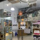 삼양동물병원 이미지