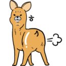 숙명이레음악교습소