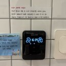 다포아라 이미지