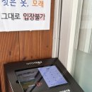 세븐일레븐 고성아야진점 | [고성 토성면 맛집] “오미냉면” 고성 아야진해변...맛집, 회냉면(웨이팅, 주차) 맛집 방문 솔직 후기!