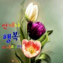 꽃을사랑합니다 이미지