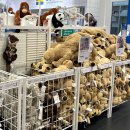 광명홈할인마트 | 영등포 타임스퀘어 이케아 팝업스토어 기간 연장, 위치, 할인 쿠폰, 쇼핑 추천템