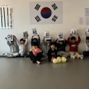 금빛호수 태권도 이미지